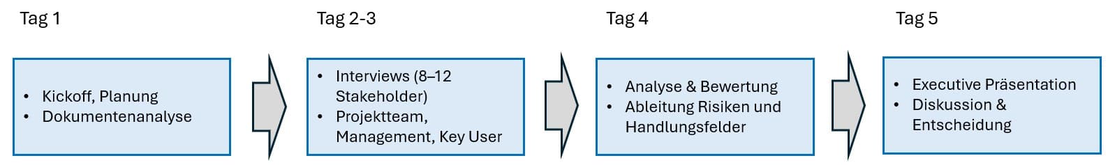 Ablauf Project Reality Check: Tag 1 Kickoff & Dokumentenanalyse, Tag 2-3 Interviews, Tag 4 Analyse & Bewertung, Tag 5 Executive Präsentation